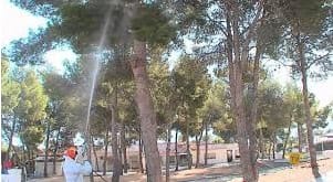 Foto fumigador eliminando orugas de árboles