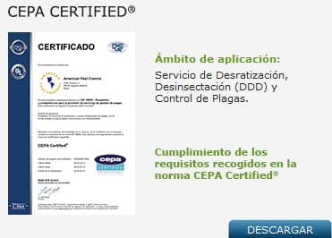 Certificado 9001